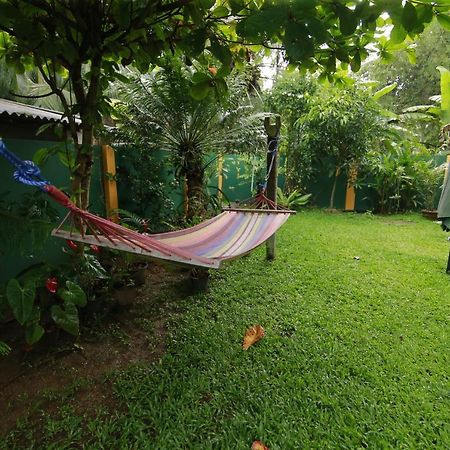 Hotel Mary'S Palm Garden Hikkaduwa Exterior foto