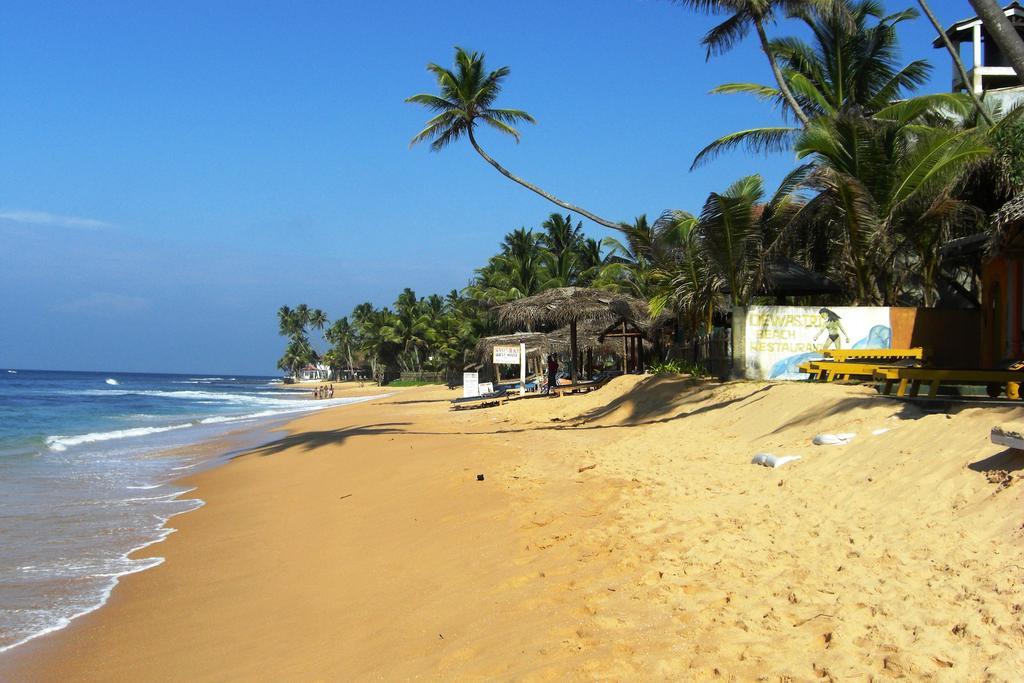 Hotel Mary'S Palm Garden Hikkaduwa Exterior foto